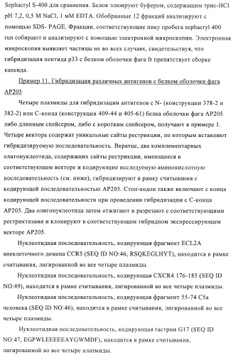 Вирусоподобные частицы, включающие гибридный белок белка оболочки бактериофага ар205 и антигенного полипептида (патент 2409667)