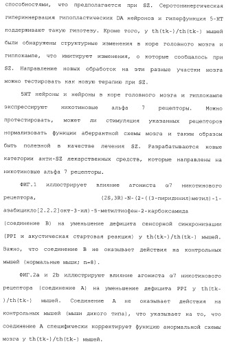 Комбинация агонистов альфа 7 никотиновых рецепторов и антипсихотических средств (патент 2481123)