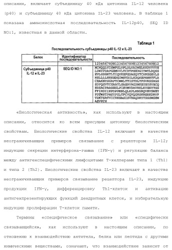 Белки, связывающие il-12/p40 (патент 2461571)