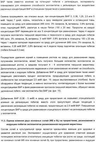 Улучшенная трансформация сои (патент 2389797)