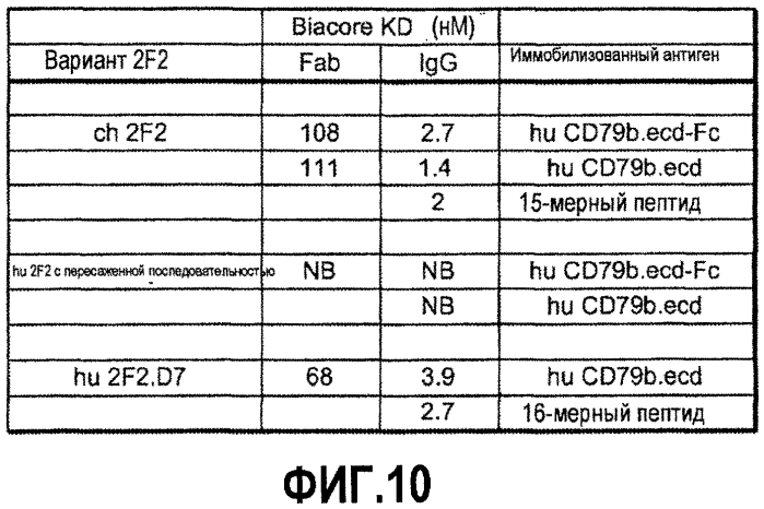 Гуманизированные антитела против cd79b и иммуноконъюгаты и способы применения (патент 2557319)