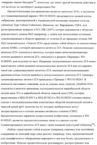 Способ предсказания ответа на лечение (патент 2408735)