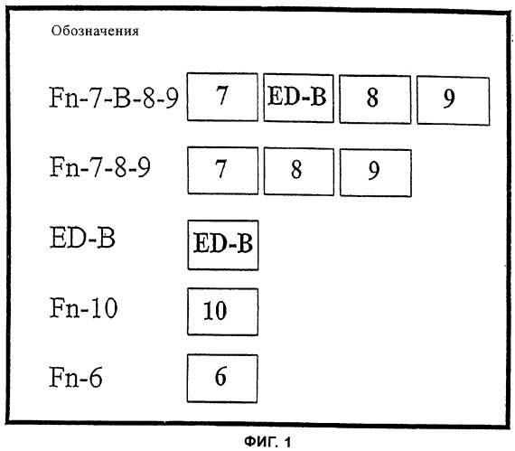 Рецептор edb-домена фибронектина (патент 2280254)