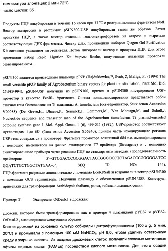 Способ получения полиненасыщенных кислот жирного ряда в трансгенных организмах (патент 2447147)