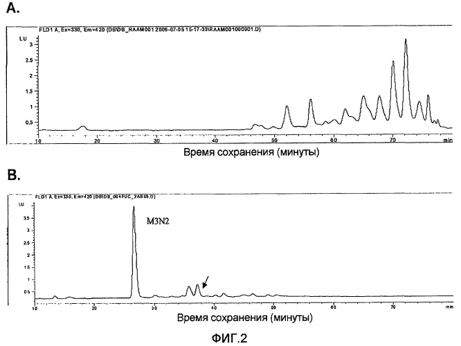 Исследование n-гликанов с использованием экзогликозидаз (патент 2475759)