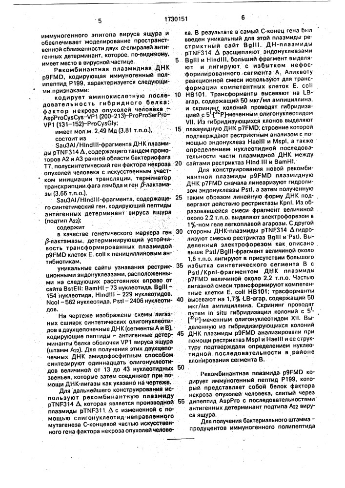 Рекомбинантная плазмидная днк р 9 f мд, кодирующая гибридный полипептид р199 - asp pro cys cys - vp1 /200 - 213/ - pro pro ser pro - vp1 /131 - 152/ pro cys gly и штамм бактерий еsснеriснiа coli продуцент гибридного полипептида р199 - asp pro cys gly - vp1 /200 - 213/ pro pro ser pro - vp1 /131 - 152/ - pro cys gly (патент 1730151)