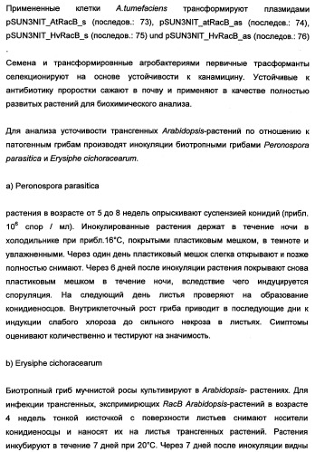 Новые последовательности нуклеиновых кислот и их применение в способах достижения устойчивости к патогенам в растениях (патент 2346985)