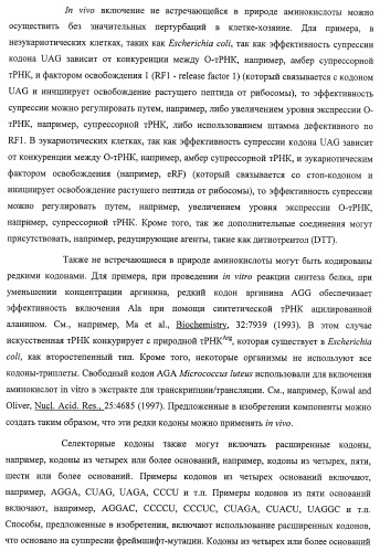 Система экспрессии компонентов ортогональной трансляции в эубактериальной клетке-хозяине (патент 2467069)