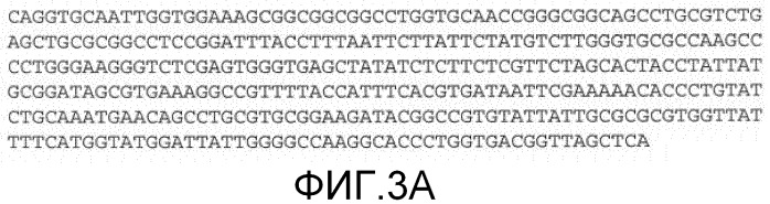 Антитела против mst1r и их применение (патент 2534890)