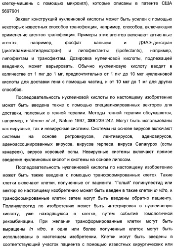 Полинуклеотидная последовательность, кодирующая полипептид вируса папилломы человека, ее применение, а также содержащие ее вектор и фармацевтическая композиция (патент 2354701)