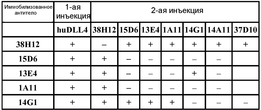 Терапевтические dll4-связывающие белки (патент 2605928)