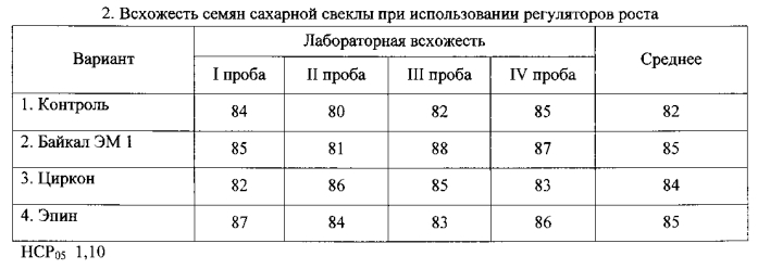 Способ возделывания сахарной свеклы (патент 2572342)