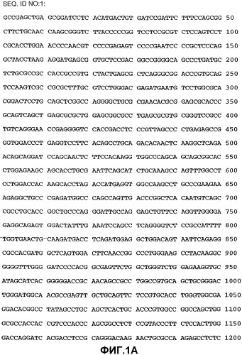 Ингибиторы ангиопоэтинподобного белка 4, их комбинации и применение (патент 2392966)