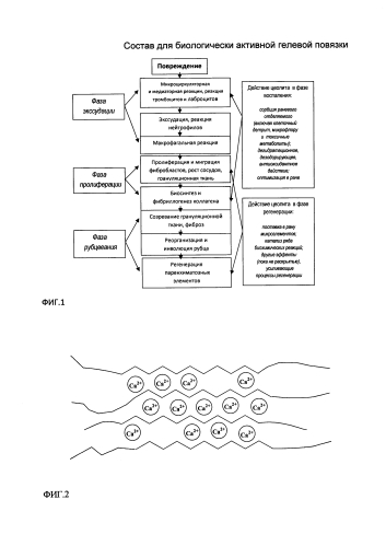 Состав для биологически активной гелевой повязки (патент 2588968)