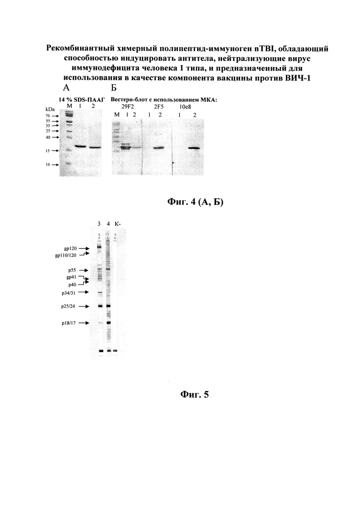 Рекомбинантный химерный полипептид-иммуноген ntbi, обладающий способностью индуцировать антитела, нейтрализующие вирус иммунодефицита человека 1 типа, и предназначенный для использования в качестве компонента вакцины против вич-1 (патент 2642258)