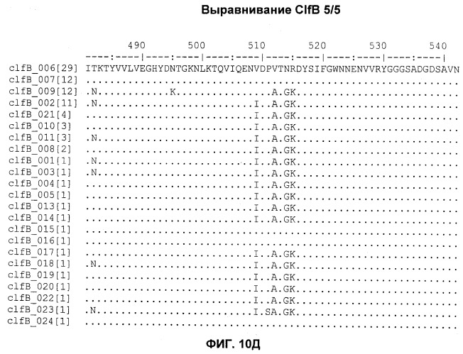 Иммуногенные композиции антигенов staphylococcus aureus (патент 2536981)