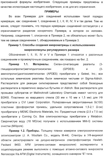 Макромолекула регулируемого размера (патент 2326172)