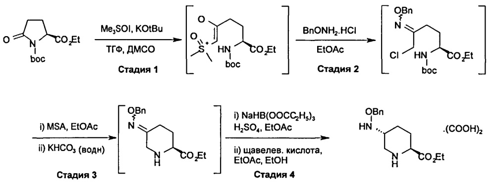 (2s,5r)-5-[(бензилокси)амино]пиперидин-2-карбоксамид (патент 2610091)