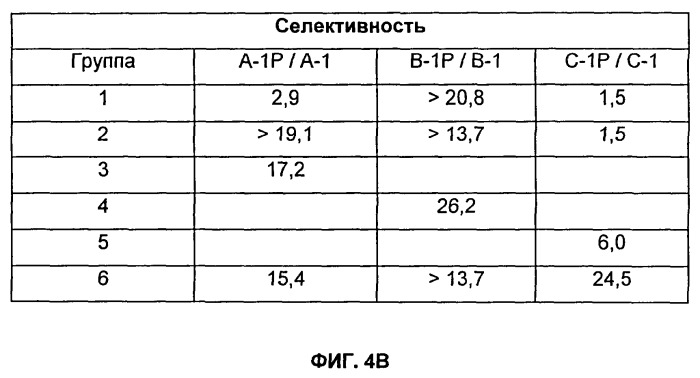 Антигенные tau-пептиды и их применения (патент 2518291)