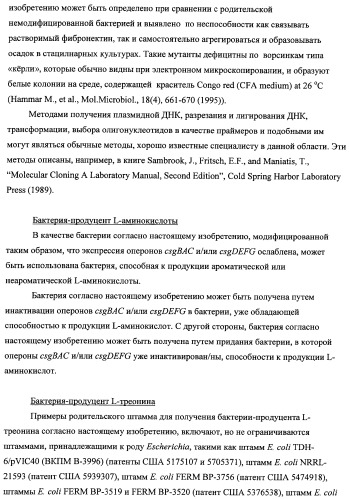 Способ получения l-треонина с использованием бактерии, принадлежащей к роду escherichia, модифицированной таким образом, что в ней нарушена способность к образованию ворсинок типа &quot;керли&quot; (патент 2338782)