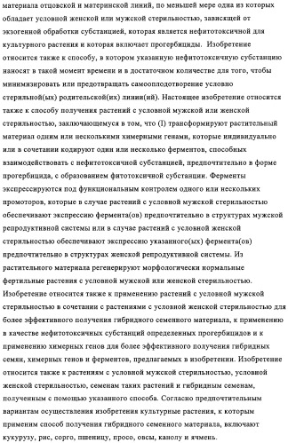 Способ избирательного получения растений с мужской или женской стерильностью (патент 2320722)