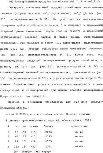Ее3-семейство белков и соответствующие днк-последовательности (патент 2333918)