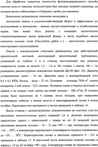 Фиторемедиационный способ очистки почв от тяжелых металлов (патент 2338353)