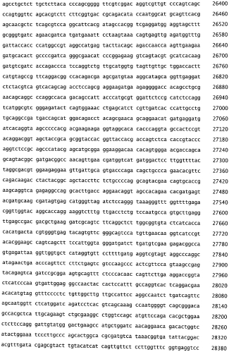 Бактериофаг, обладающий активностью против pseudomonas aeruginosa, белки бактериофага и способы их применения (патент 2580248)