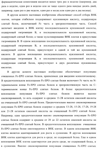 Fc-эритропоэтин слитый белок с улучшенной фармакокинетикой (патент 2370276)