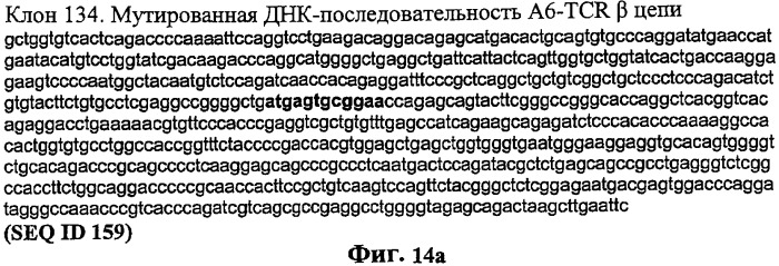 Экспонирование т-клеточных рецепторов (патент 2346004)