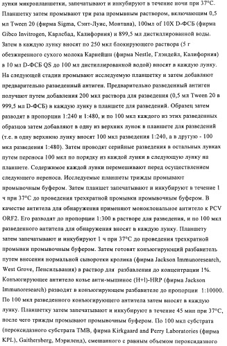 Поливалентные иммуногенные композиции pcv2 и способы получения таких композиций (патент 2488407)