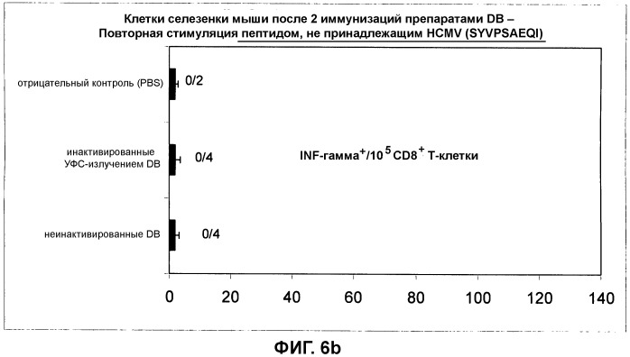 Композиция, содержащая частицы hcmv (патент 2505314)