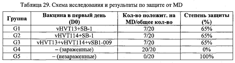 Рекомбинантные векторы hvt, экспрессирующие антигены патогенов птиц и их применение (патент 2620936)