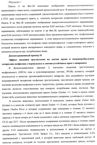 Способ получения фактора, связанного с контролем над потреблением пищи и/или массой тела, полипептид, обладающий активностью подавления потребления пищи и/или прибавления в весе, молекула нуклеиновой кислоты, кодирующая полипептид, способы и применение полипептида (патент 2418002)