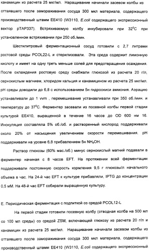 Продуцирование il-21 в прокариотических клетках-хозяевах (патент 2354703)