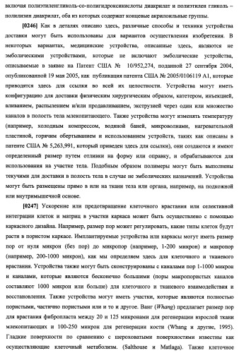 N-замещенные мономеры и полимеры (патент 2461582)
