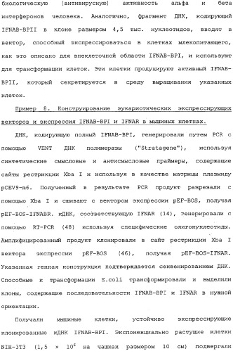 Белок ifnab-bpi, его предшественник, молекула днк, экспрессирующий вектор, способ продуцирования, фармацевтическая композиция для ингибирования активности ifn-  или ifn-  (патент 2336279)