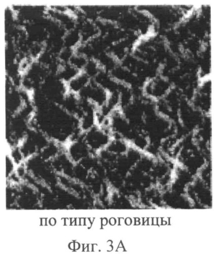 Биокомпозиты и способы их получения (патент 2500432)