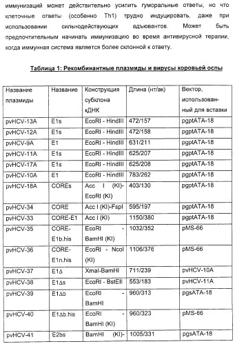 Очищенные белки оболочки вируса гепатита с для диагностического и терапевтического применения (патент 2313363)