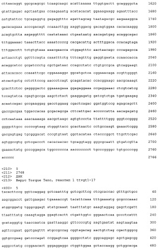 Выделенная полинуклеотидная молекула, кодирующая вирус torque teno, молекула рнк и вектор экспрессии (патент 2502801)