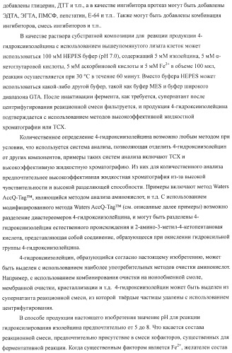 Способ продукции 4-гидрокси-l-изолейцина (патент 2402608)