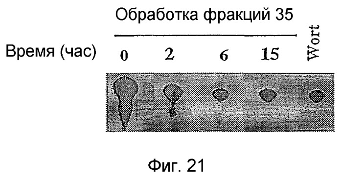 Ингибирование nf- b композициями тритерпенов (патент 2288706)