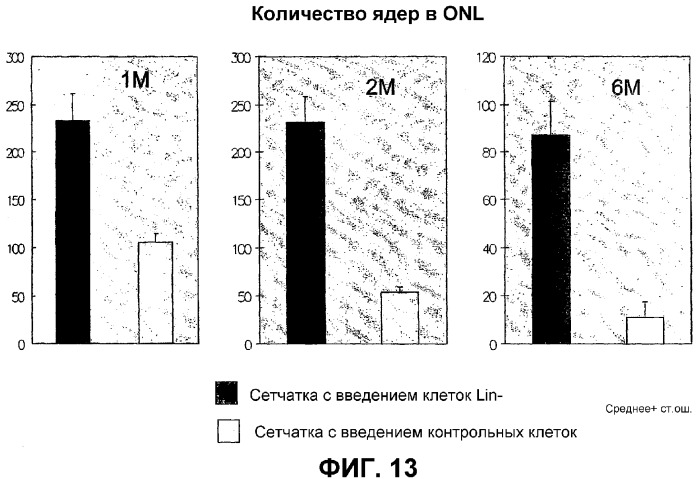 Гематопоэтические стволовые клетки и способы лечения неоваскулярных заболеваний глаз с их помощью (патент 2345780)