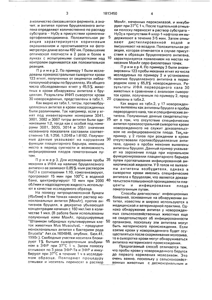 Способ диагностики внутриутробного инфицирования ягнят бруцеллезом (патент 1813450)