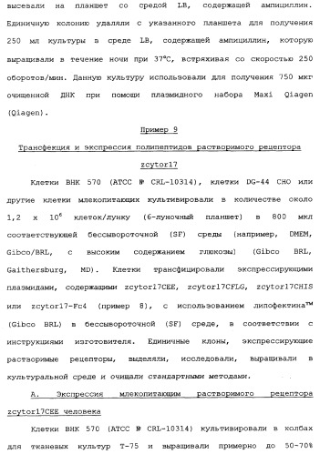 Новый лиганд рецептора цитокина zcytor17 (патент 2360923)