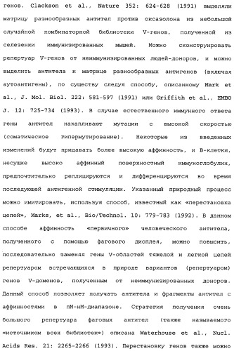 Способы лечения болезни альцгеймера с использованием антител, направленных против пептида амилоида-бета, и их композиций (патент 2353389)