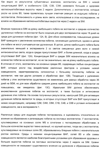 Улучшенная трансформация сои (патент 2389797)