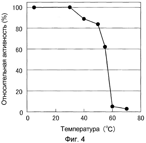 Способ продуцирования микробной трансглутаминазы (патент 2316594)