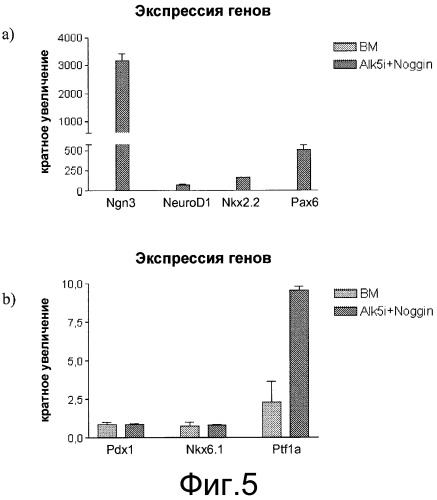 Дифференцировка эмбриональных стволовых клеток человека (патент 2540021)