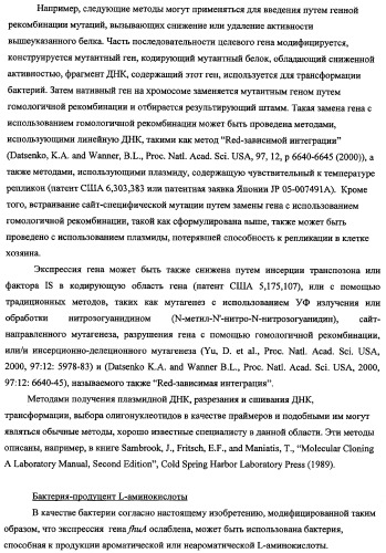 Способ получения l-треонина с использованием бактерии, принадлежащей к роду escherichia, в которой инактивирован ген fhua (патент 2333955)